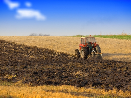 tractor farmer reluctant politician